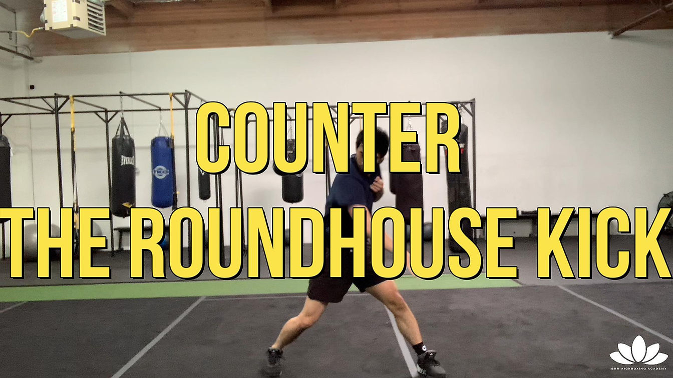 Counter the Roundhouse Kick